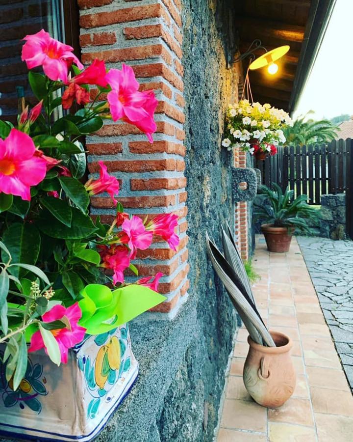 Il Tiglio Apartment Viagrande Bagian luar foto