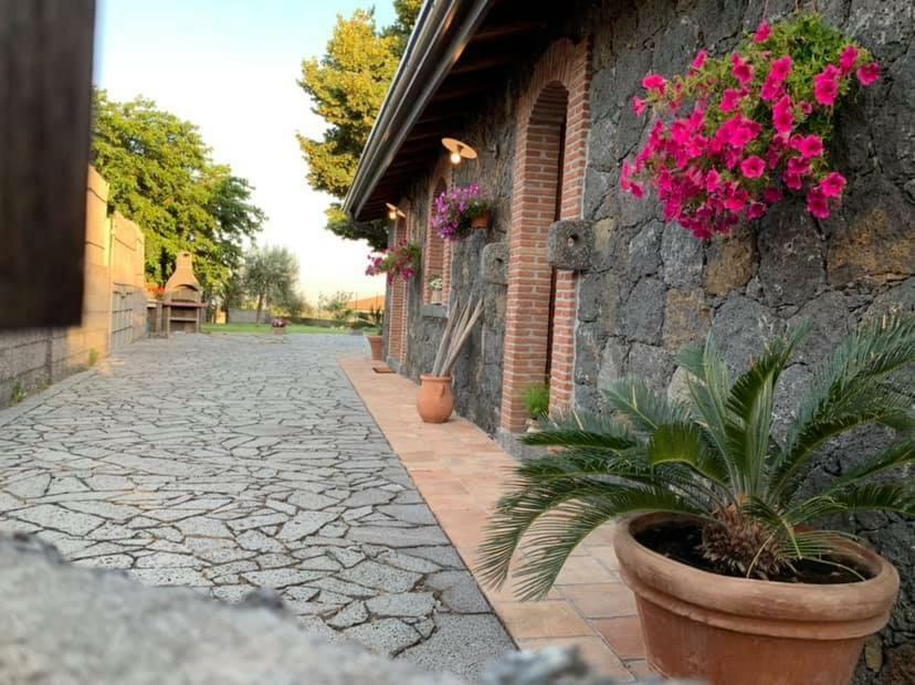 Il Tiglio Apartment Viagrande Bagian luar foto